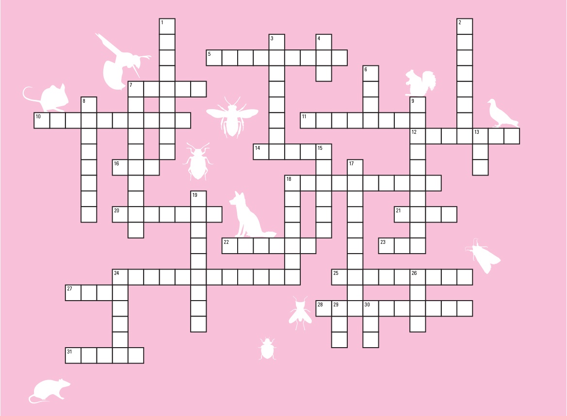 crossword2 crossword2
